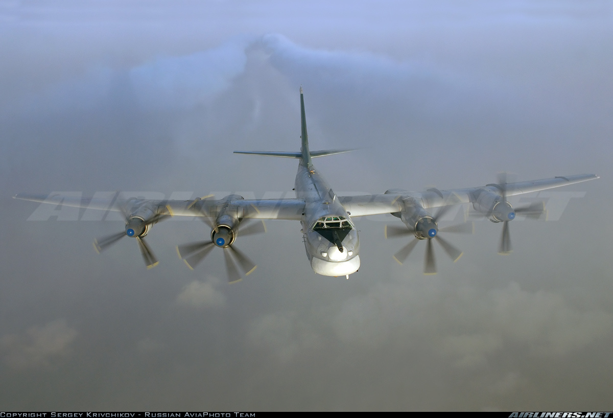 Tupolev Tu-95MS-1.jpg